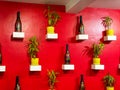 Different wine products displayed at factory outlet store of SULA wine yard at Nashik, Maharashtra, India