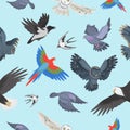 Different wing wild flying birds seamless pattern background vector illustration Royalty Free Stock Photo