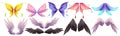 Different wings of fairy, butterfly, bird, angel Royalty Free Stock Photo