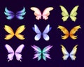 Different wings of fairy