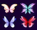 Different wings of fairy