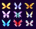 Different wings of fairy