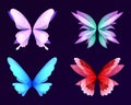 Different wings of fairy