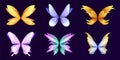 Different wings of fairy