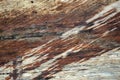 Different wood textures and backgrounds XXXI