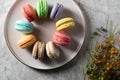 Differnt color macaroons on a plate