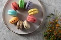 Differnt color macaroons on a plate Royalty Free Stock Photo