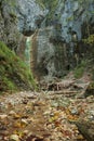 Difficul trail with ladder near the waterfall in canyon of National park Slovak paradise