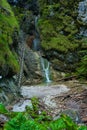 Difficul trail with ladder near the waterfall in canyon of National park Slovak paradise