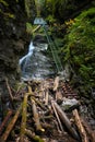 Difficul trail with ladder near the waterfall in canyon of National park Slovak paradise, Slovakia