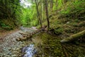 Difficult hiking trail with ladder near the waterfall in canyon of National park Slovak paradise Royalty Free Stock Photo