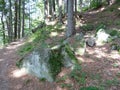 The Ukrainian Carpathians. Mountain ridge Marmaros near the town of Rahiv. Ukraine. Royalty Free Stock Photo