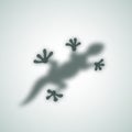 Diffuse Reptile Silhouette Shadow Abstract Vector Image.