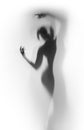 Diffuse silhouette of a beautiful dancer woman behind a curtain Royalty Free Stock Photo