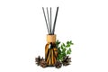 Diffuser bottle, leaves and cones isolated on white background Royalty Free Stock Photo