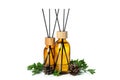 Diffuser bottles, leaves and cones isolated on white background Royalty Free Stock Photo