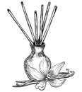 Diffuser with Vanilla flowers and Sticks. Hand drawn vector illustration on white isolated background. Linear drawing of