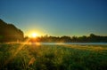 Diffusing sunlight in the early morning mist