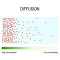 Diffusion is movement of molecules and atoms from a region of higher concentration to a region of lower concentration