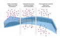 Diffusion is a process of passive transport in which molecules move from an area of higher concentration to one of lower concentra Royalty Free Stock Photo