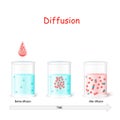 Diffusion process. Laboratory flasks with water before and after diffusion