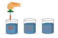 diffusion process in physics laboratory flasks with water before and after diffusion