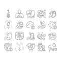 Digestion Disease And Treatment Icons Set Vector .