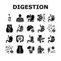 Digestion Disease And Treatment Icons Set Vector