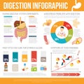 Digestion Infographic Set Royalty Free Stock Photo