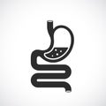 Digestion tract vector icon