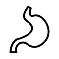 Digestion vector thin line icon