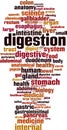 Digestion word cloud