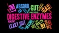 Digestive Enzymes Animated Word Cloud