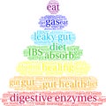 Digestive Enzymes Word Cloud Royalty Free Stock Photo