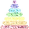 Digestive Enzymes Word Cloud