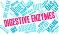 Digestive Enzymes Word Cloud Royalty Free Stock Photo