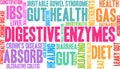 Digestive Enzymes Word Cloud Royalty Free Stock Photo