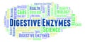 Digestive Enzymes word cloud. Royalty Free Stock Photo