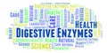 Digestive Enzymes word cloud. Royalty Free Stock Photo