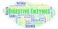 Digestive Enzymes word cloud. Royalty Free Stock Photo