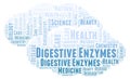 Digestive Enzymes word cloud. Royalty Free Stock Photo