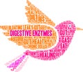 Digestive Enzymes Word Cloud