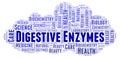 Digestive Enzymes word cloud. Royalty Free Stock Photo