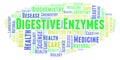 Digestive Enzymes word cloud. Royalty Free Stock Photo