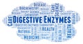 Digestive Enzymes word cloud. Royalty Free Stock Photo