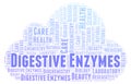 Digestive Enzymes word cloud. Royalty Free Stock Photo