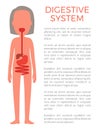 Digestive Female System Color Vector Illustration