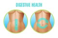 Digestive Health Realistic Design