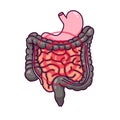 Digestive organs in cartoon style with pulsating circles for pain.