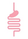 Pink silhouette of human digestive system